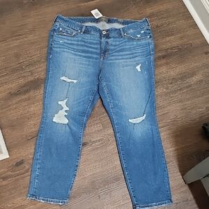 Torrid Blue Skinny Jeans with Distressed Details